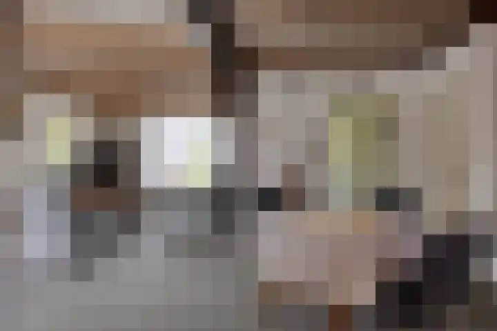 Willibrordusstraat 25 Riethoven thumbnail 4