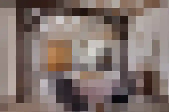 Willibrordusstraat 25 Riethoven thumbnail 5