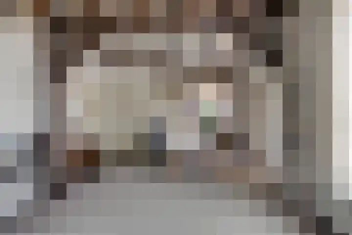 Willibrordusstraat 25 Riethoven thumbnail 6