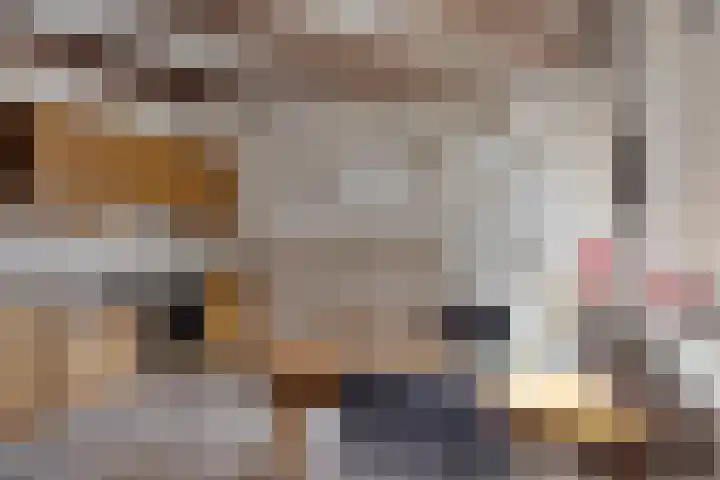 Willibrordusstraat 25 Riethoven thumbnail 8