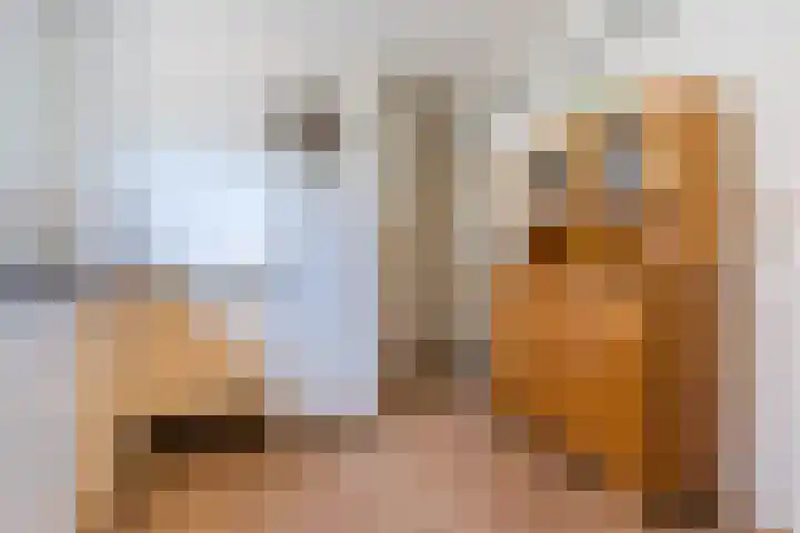 Willibrordusstraat 27 Diessen thumbnail 12