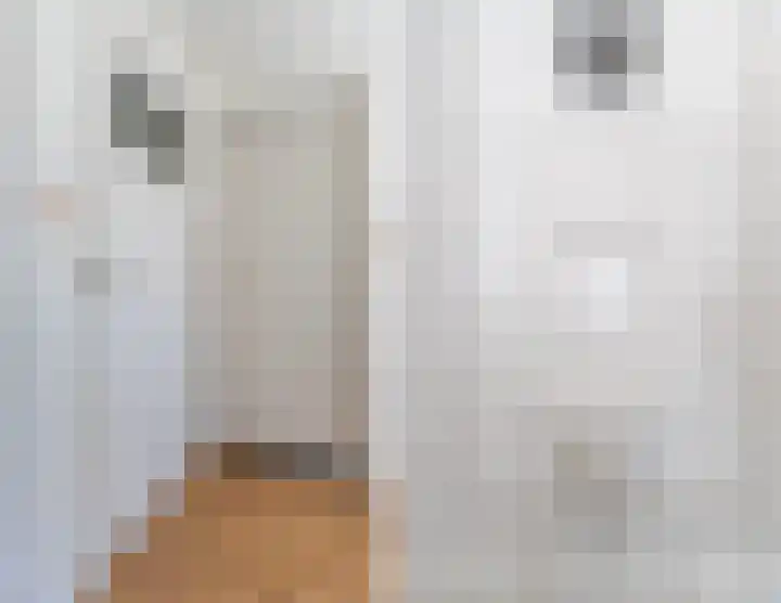 Willibrordusstraat 27 Diessen thumbnail 17