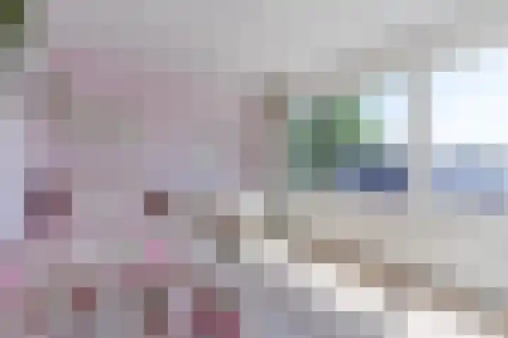 Willibrordusstraat 27 Diessen thumbnail 21