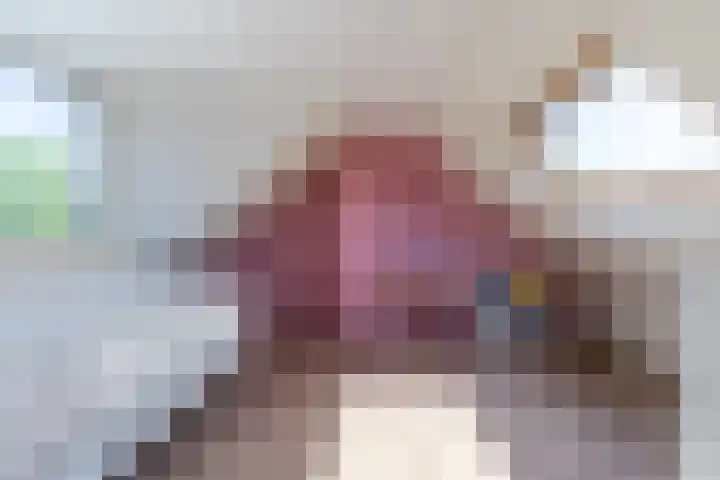 Willibrordusstraat 27 Diessen thumbnail 30