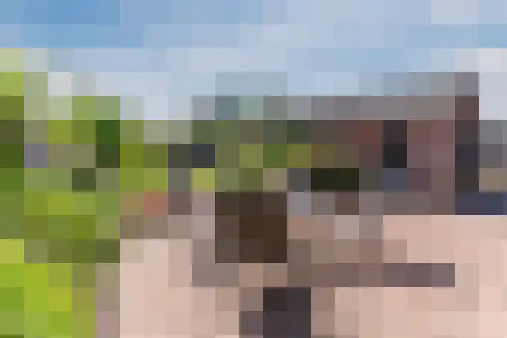 Willibrordusstraat 27 Diessen thumbnail 34