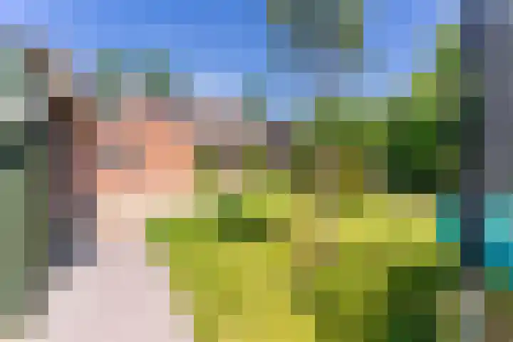 Willibrordusstraat 27 Diessen thumbnail 39