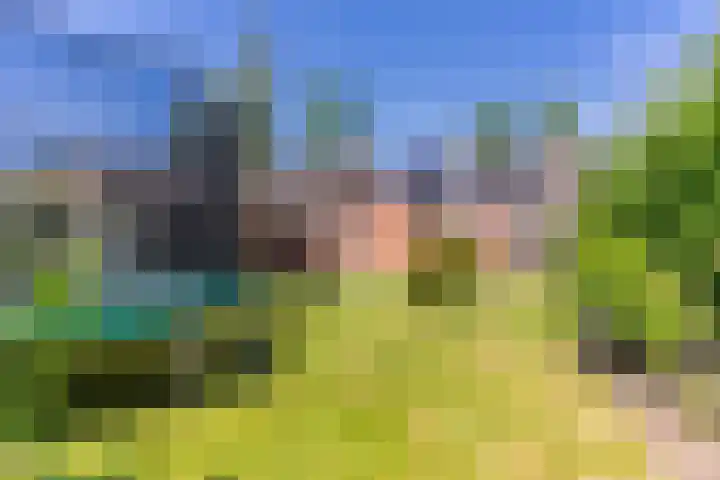 Willibrordusstraat 27 Diessen thumbnail 40