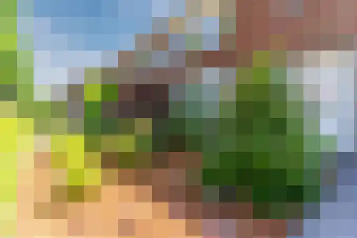 Willibrordusstraat 27 Diessen thumbnail 48