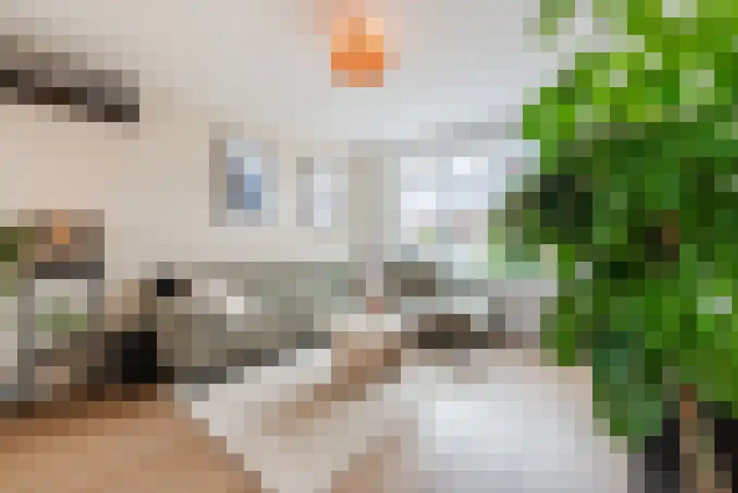 Willibrordusstraat 31 Echt thumbnail 10
