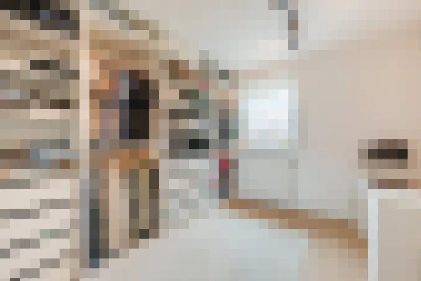 Willibrordusstraat 31 Echt thumbnail 24
