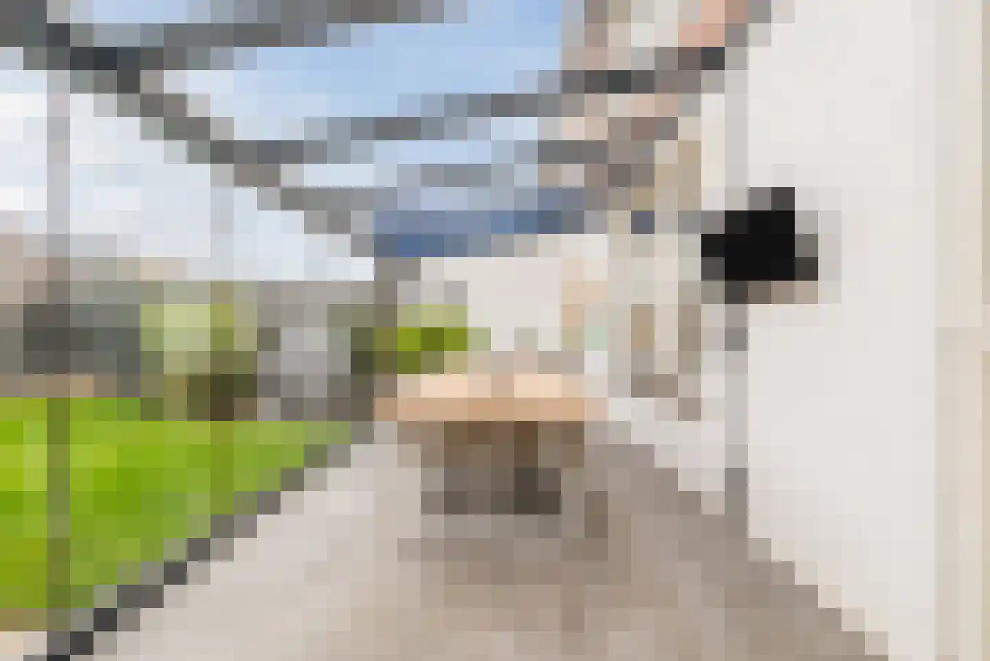 Willibrordusstraat 31 Echt thumbnail 32