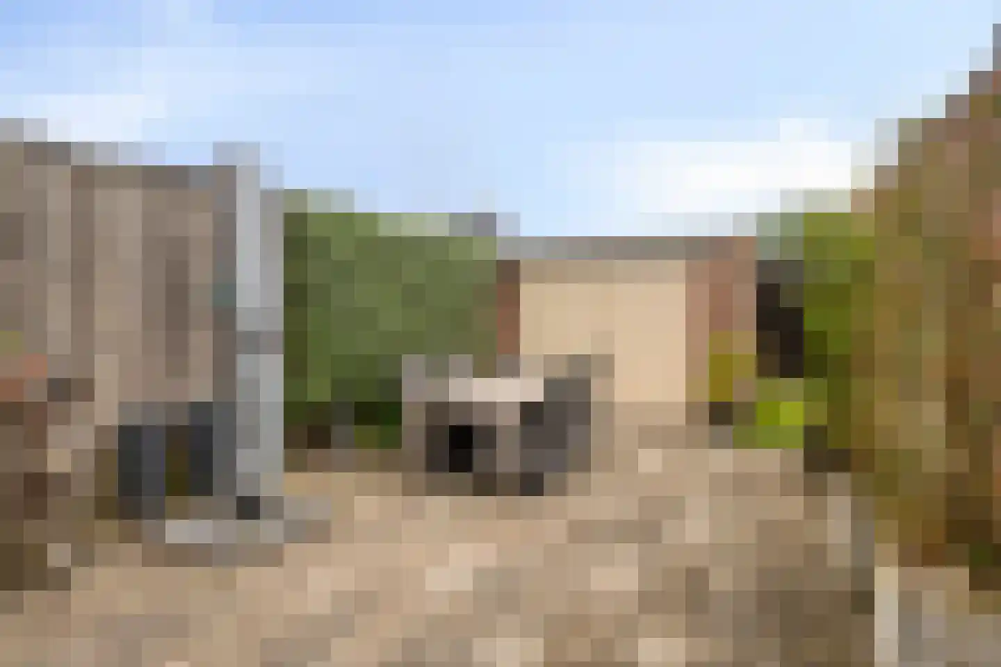 Willibrordusstraat 32 Loon op Zand thumbnail 27