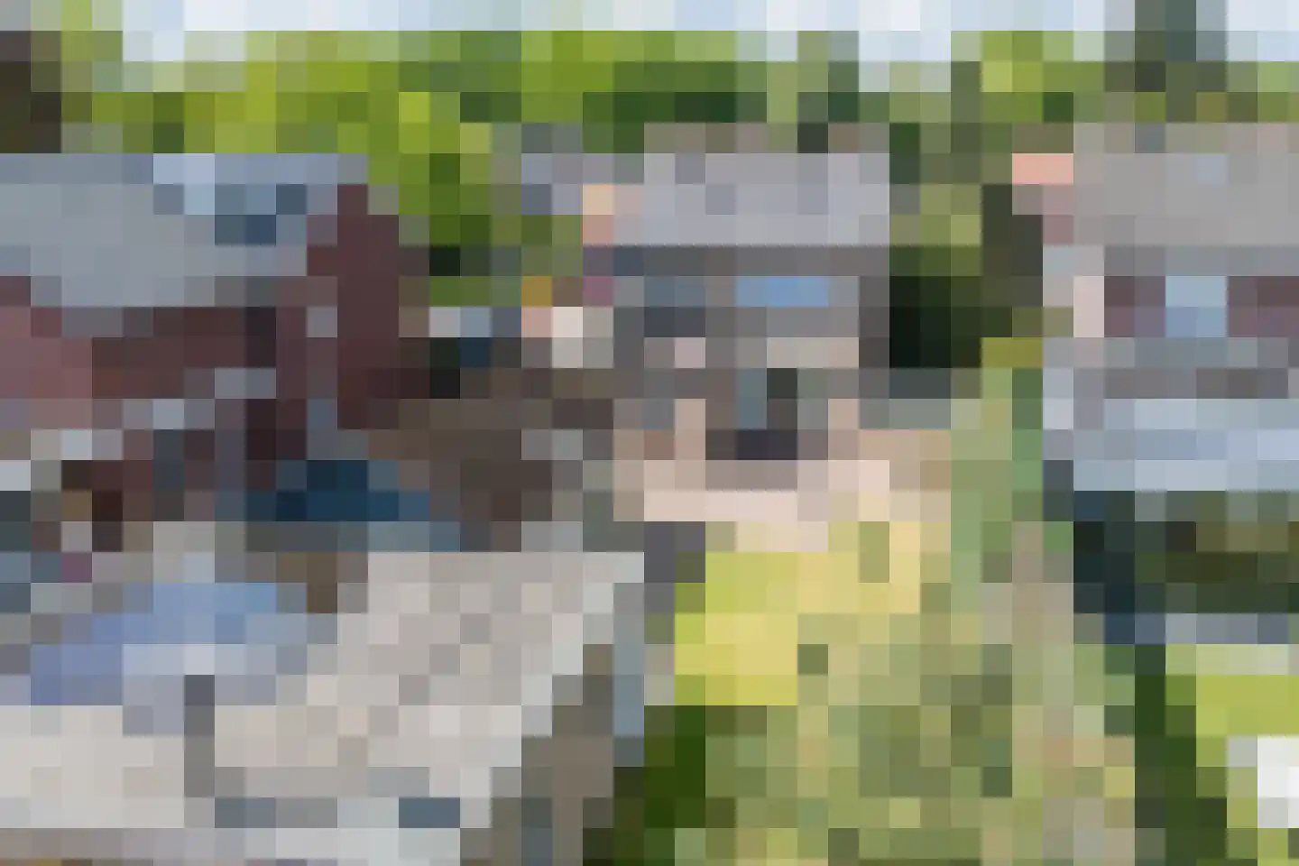 Willibrordusstraat 34 Riethoven thumbnail 36