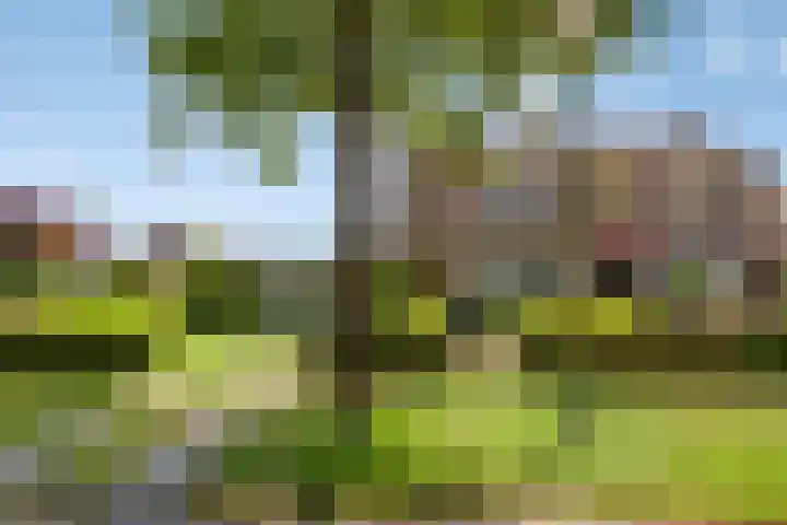 Willibrordusstraat 38 Riethoven thumbnail 35