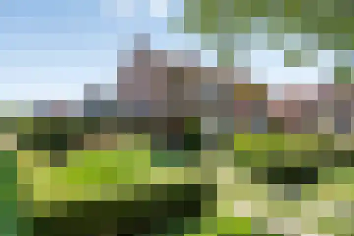 Willibrordusstraat 38 Riethoven thumbnail 4