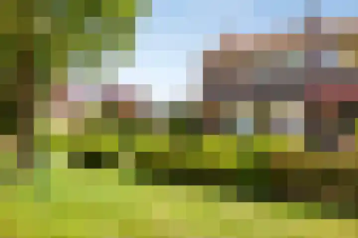 Willibrordusstraat 38 Riethoven thumbnail 44