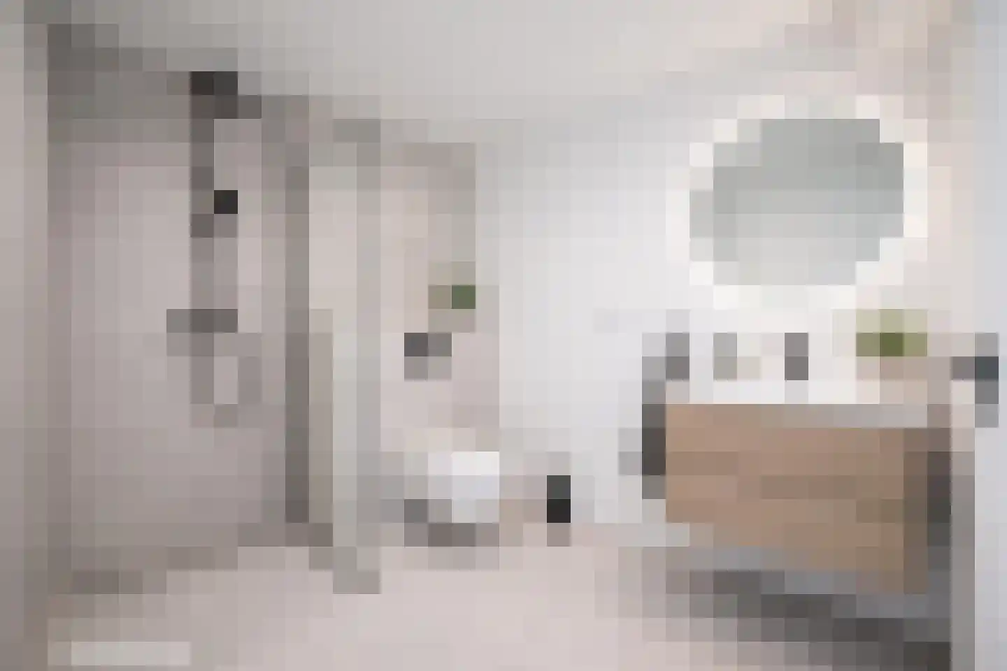 Willibrordusstraat 4 A Susteren thumbnail 12