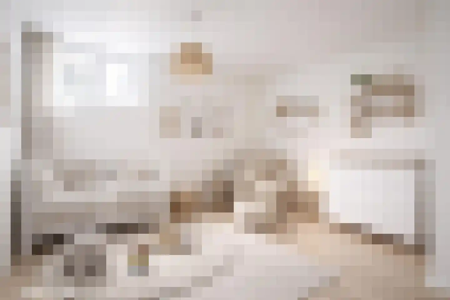 Willibrordusstraat 4 A Susteren thumbnail 20