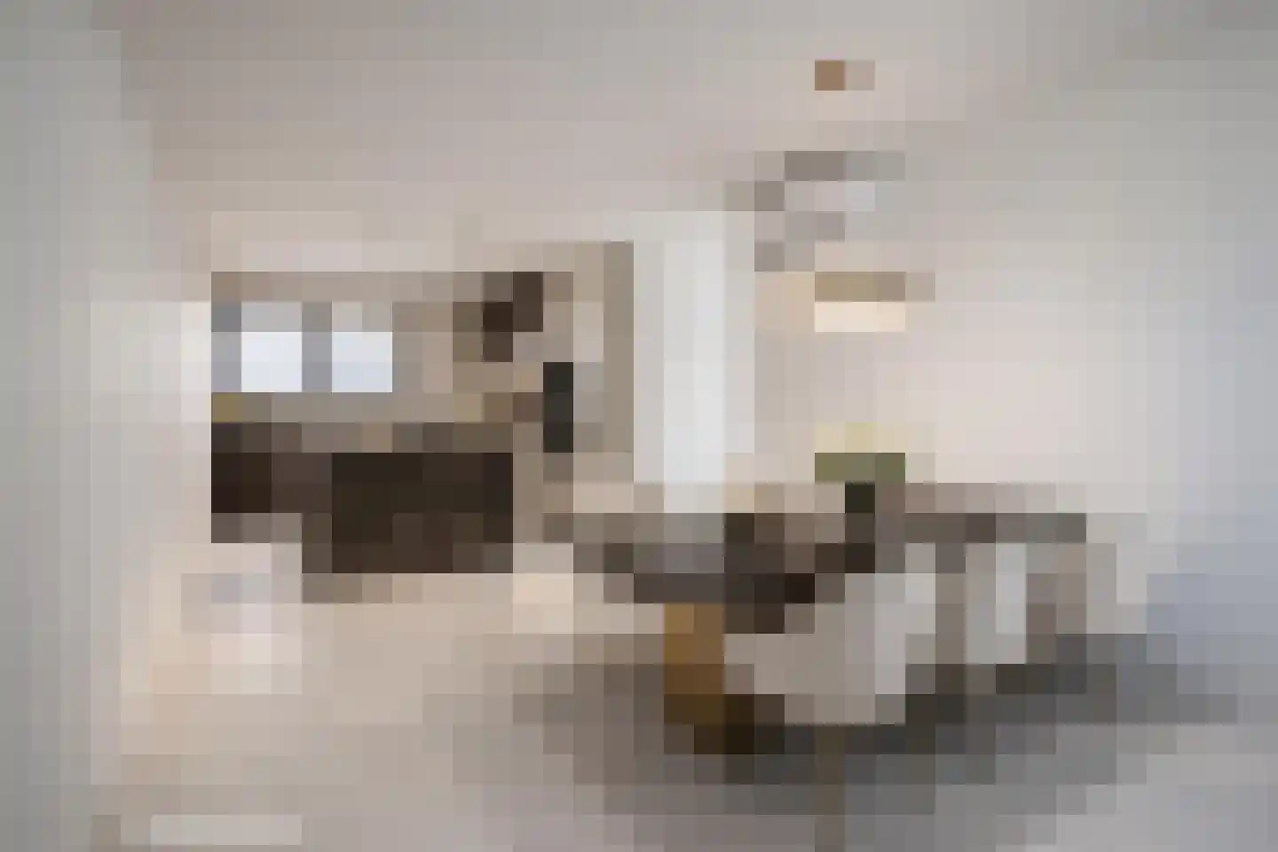 Willibrordusstraat 4 A Susteren thumbnail 8
