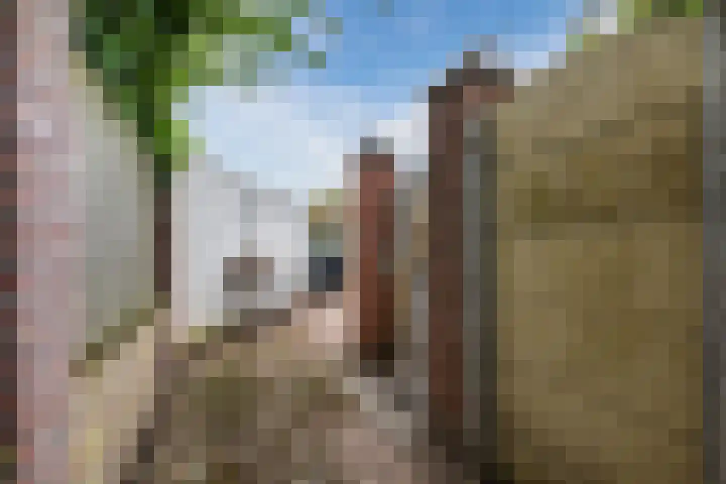 Willibrordusstraat 40 Echt thumbnail 39