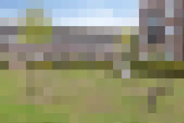 Willibrordusstraat 43 Loon op Zand thumbnail 31