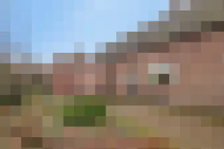 Willibrordusstraat 43 Wintelre thumbnail 34