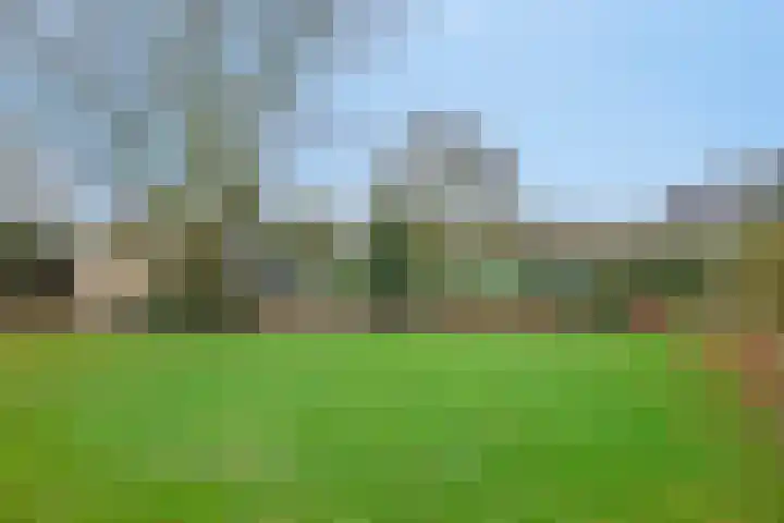 Willibrordusstraat 43 Wintelre thumbnail 38