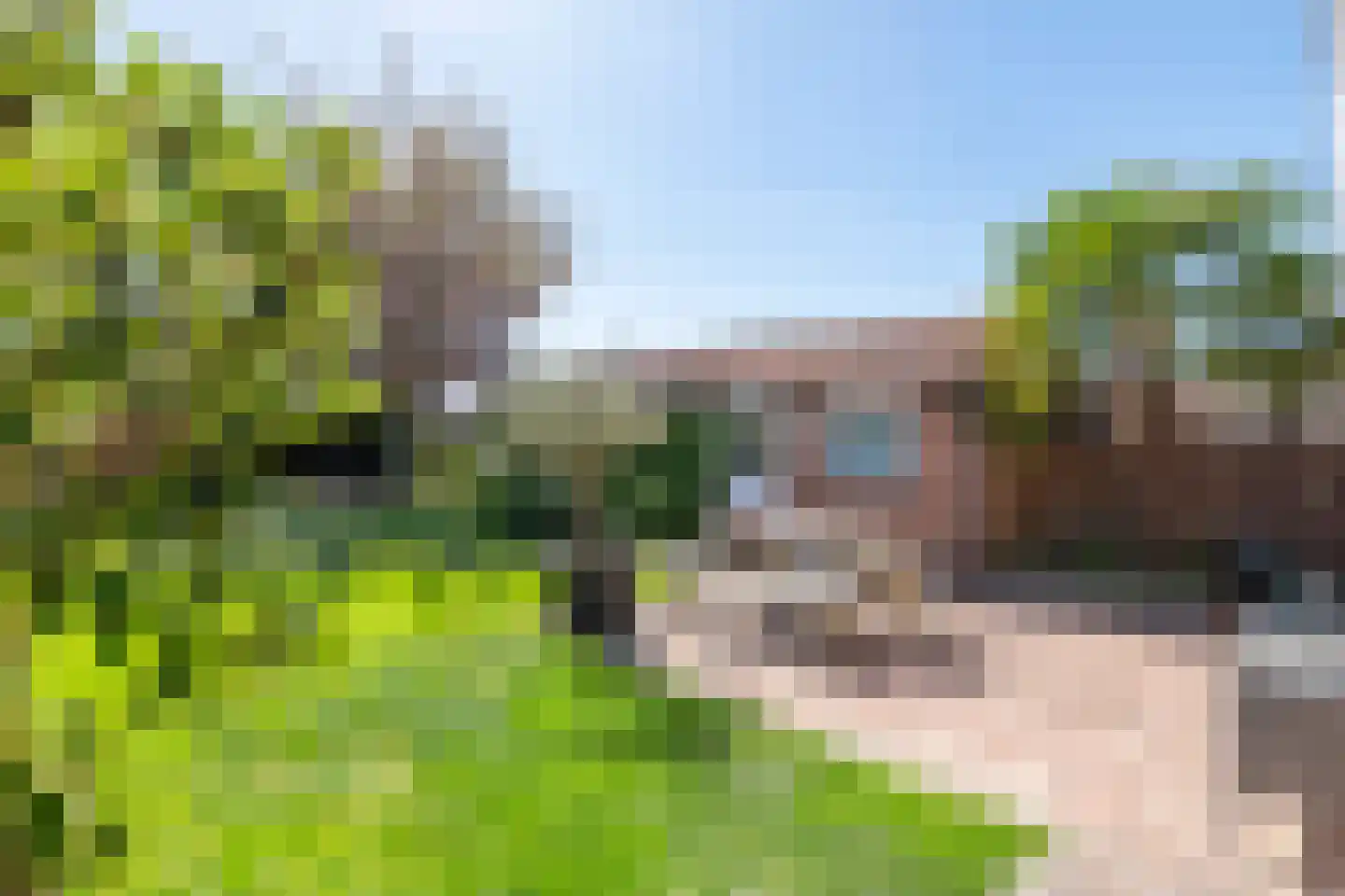 Willibrordusstraat 44 Boven-Leeuwen thumbnail 4