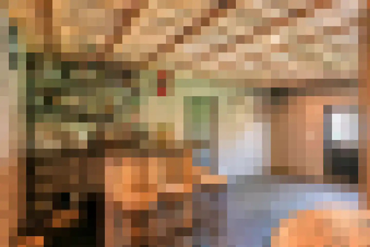 Willibrordusstraat 44 Boven-Leeuwen thumbnail 6