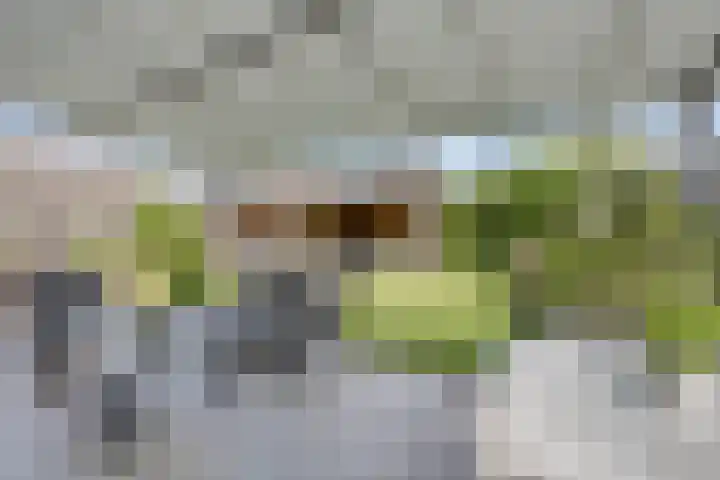 Willibrordusstraat 5 A Geffen thumbnail 25