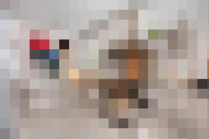 Willibrordusstraat 5 Susteren thumbnail 17