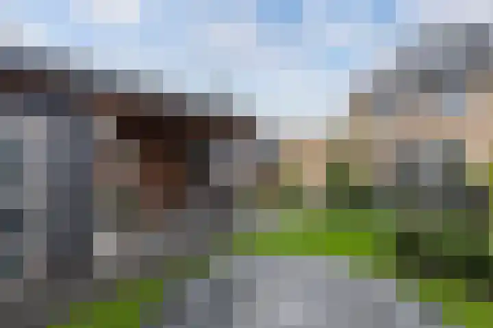 Willibrordusstraat 5 Susteren thumbnail 5