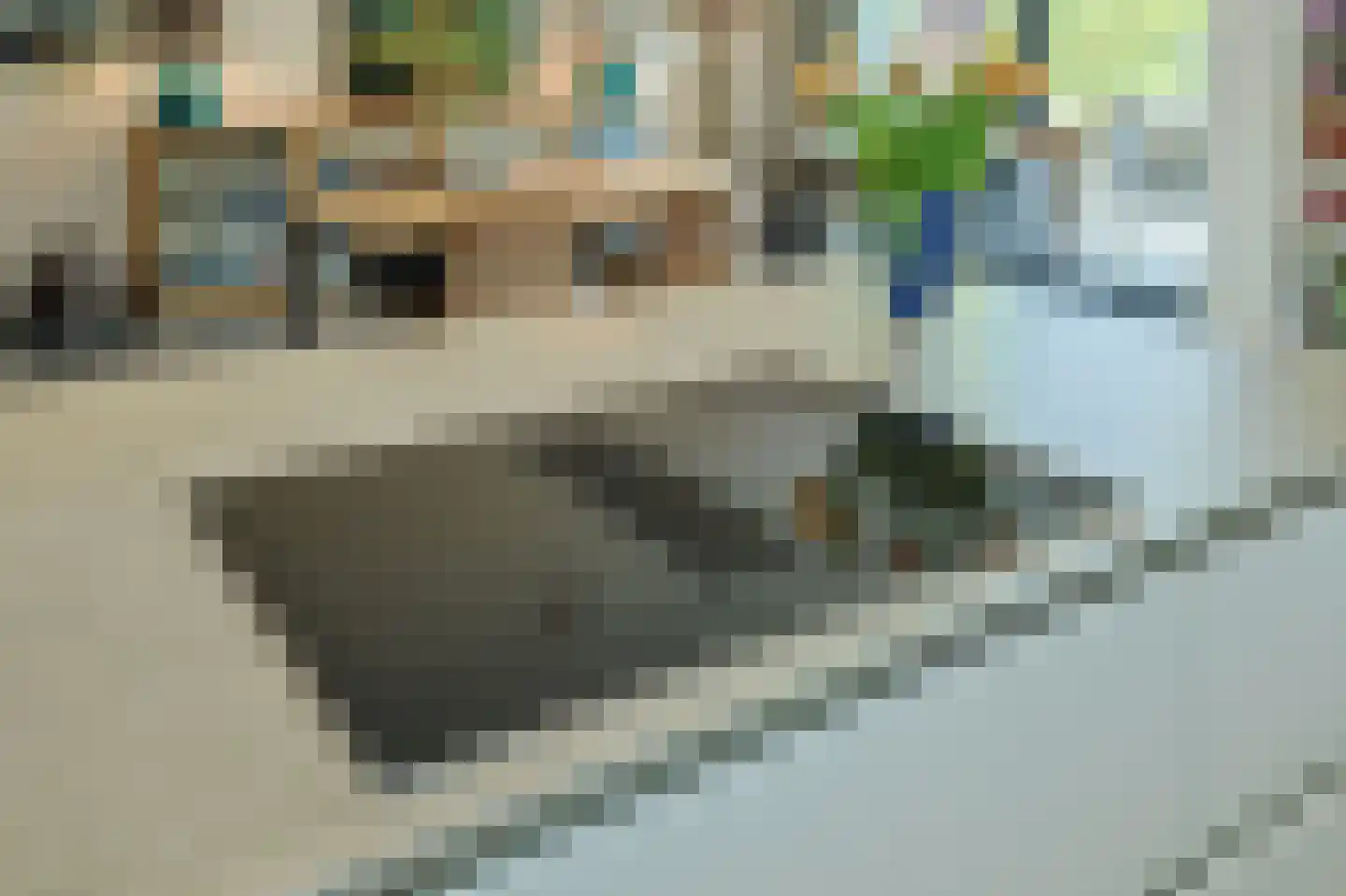 Willibrordusstraat 54 Riethoven thumbnail 25