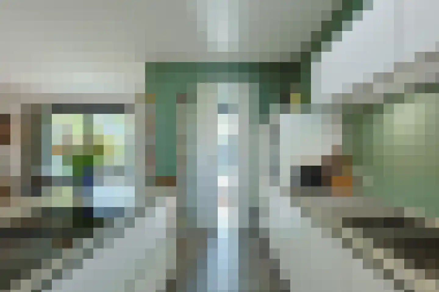 Willibrordusstraat 54 Riethoven thumbnail 26