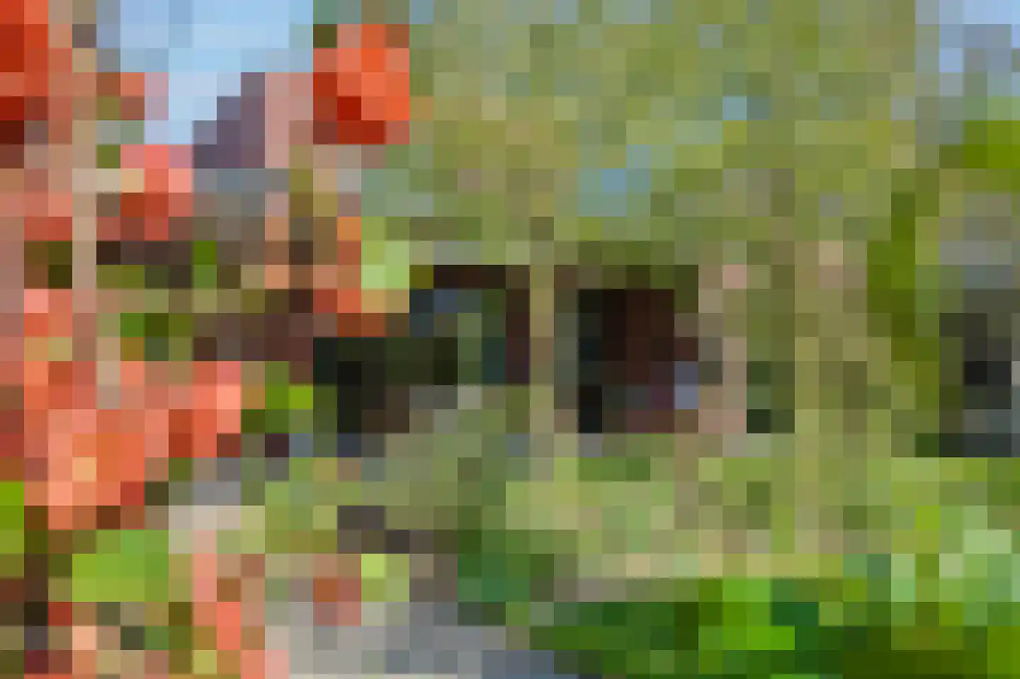Willibrordusstraat 54 Riethoven thumbnail 49