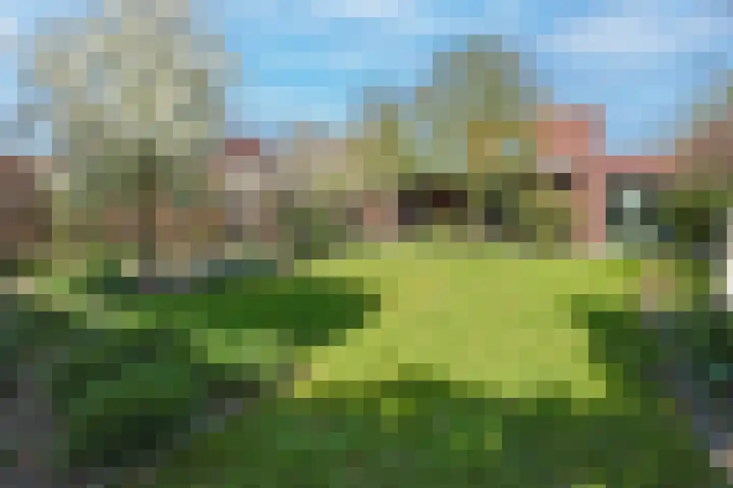 Willibrordusstraat 54 Riethoven thumbnail 50