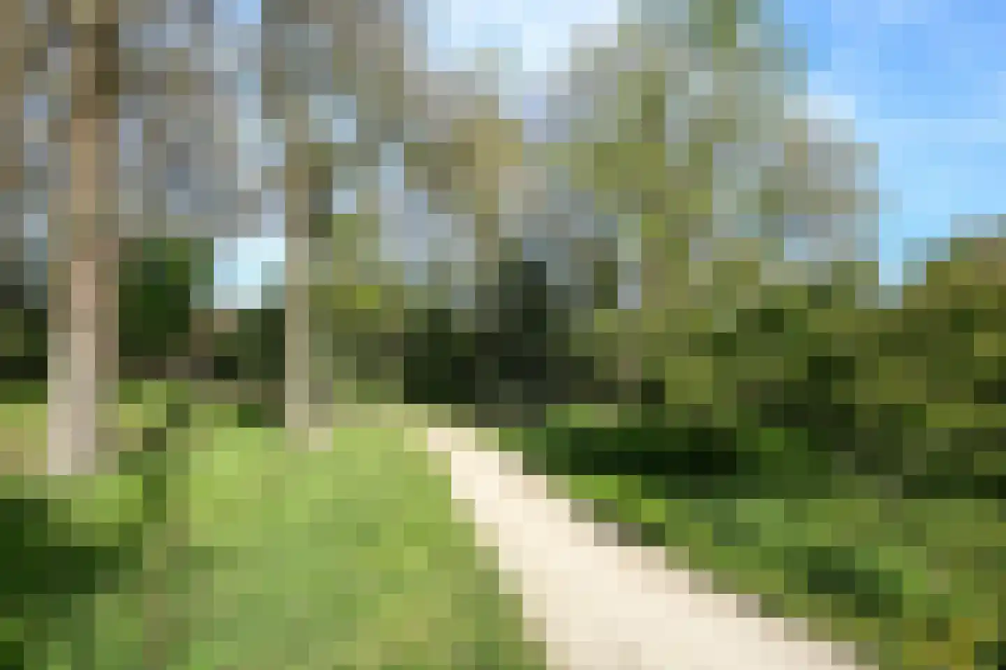 Willibrordusstraat 54 Riethoven thumbnail 67