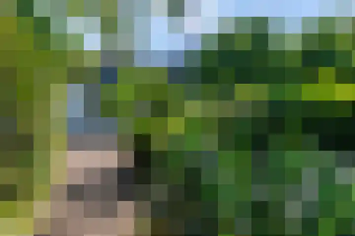 Willibrordusstraat 6 Susteren thumbnail 40