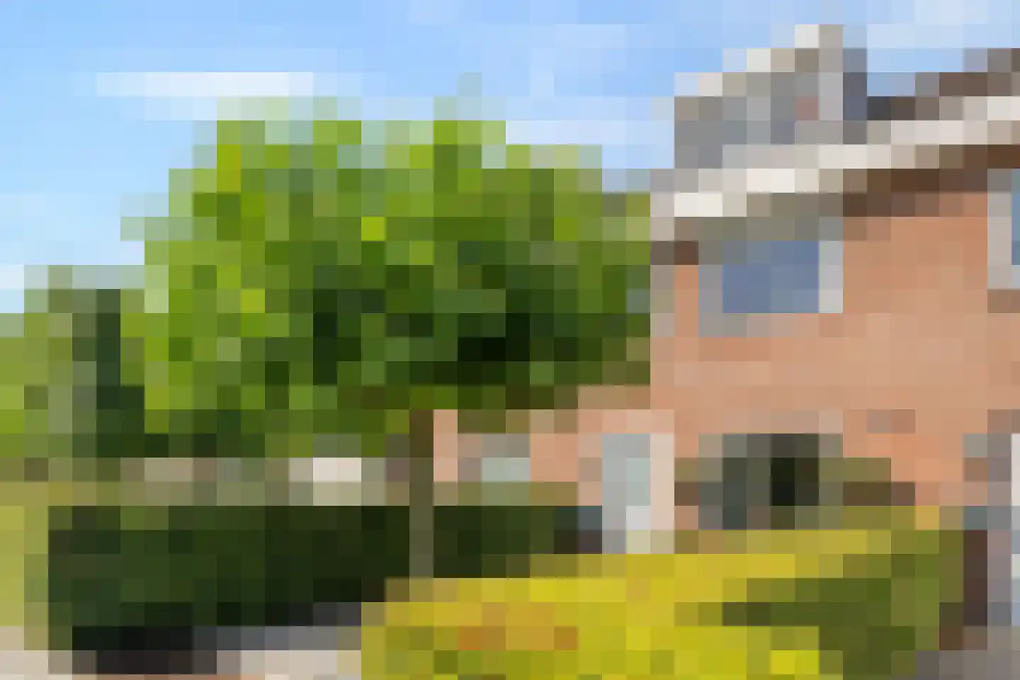 Willibrordusstraat 71 Loon op Zand thumbnail 43