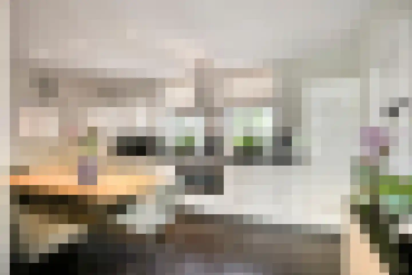 Willibrordusweg 10 Schaijk thumbnail 13