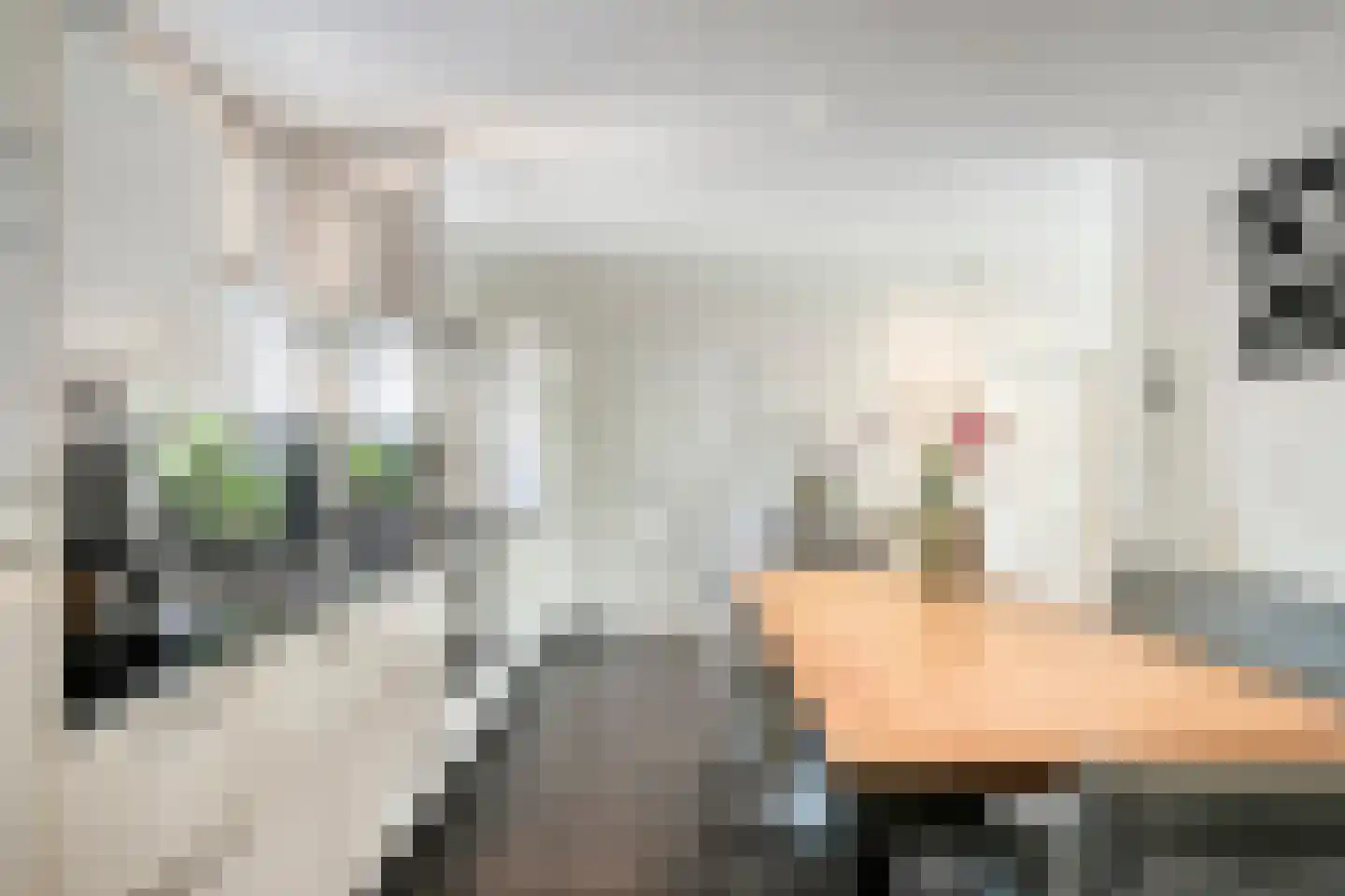 Willibrordusweg 10 Schaijk thumbnail 15