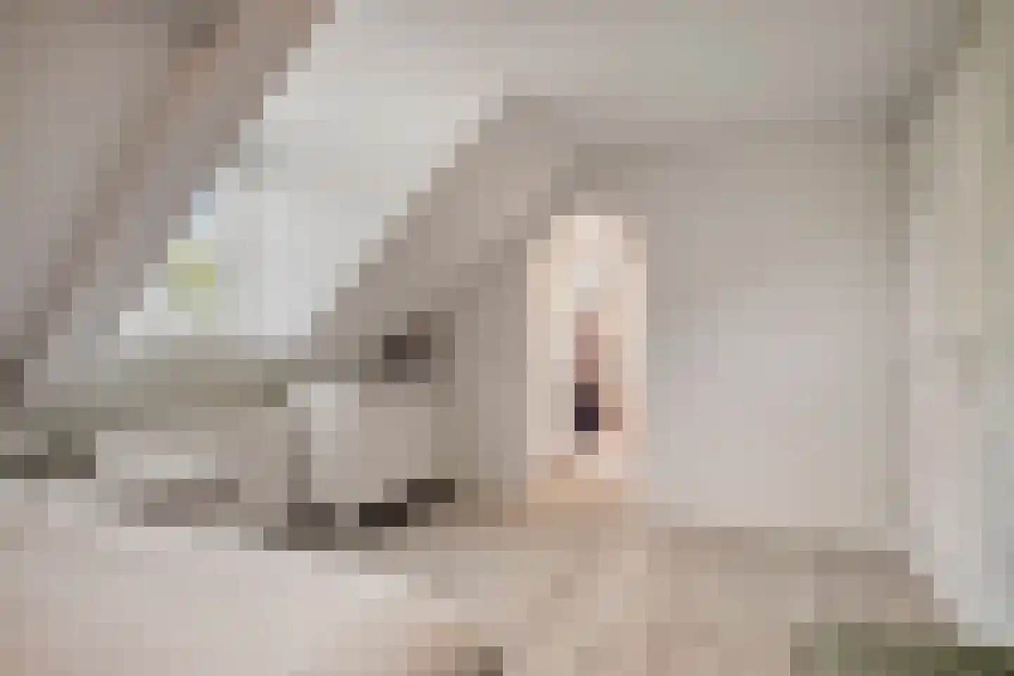 Willibrordusweg 10 Schaijk thumbnail 22