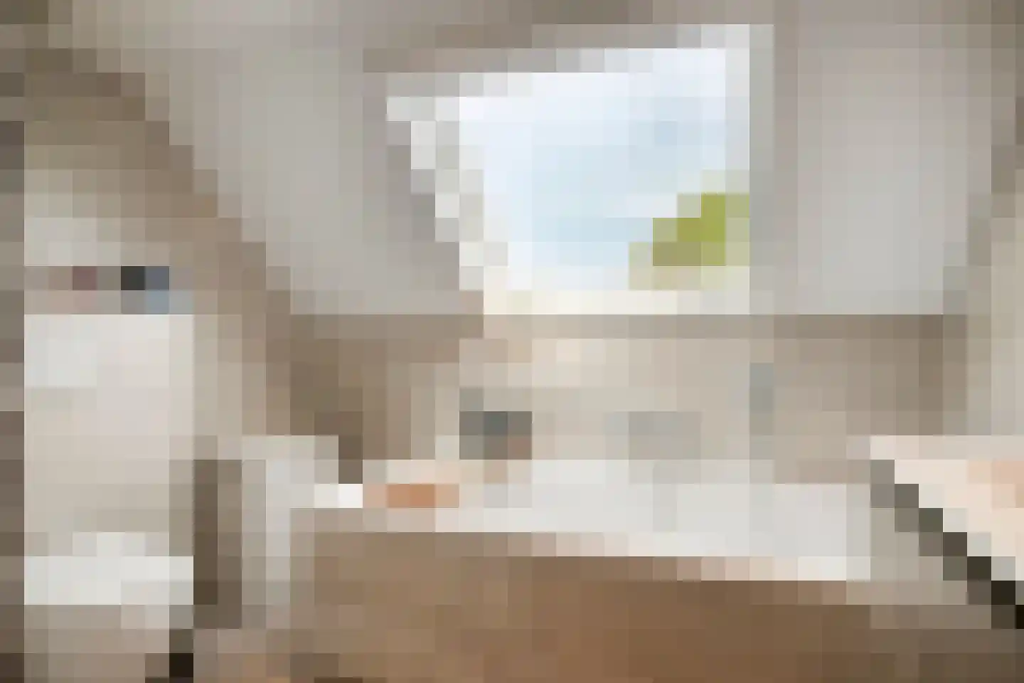 Willibrordusweg 10 Schaijk thumbnail 27