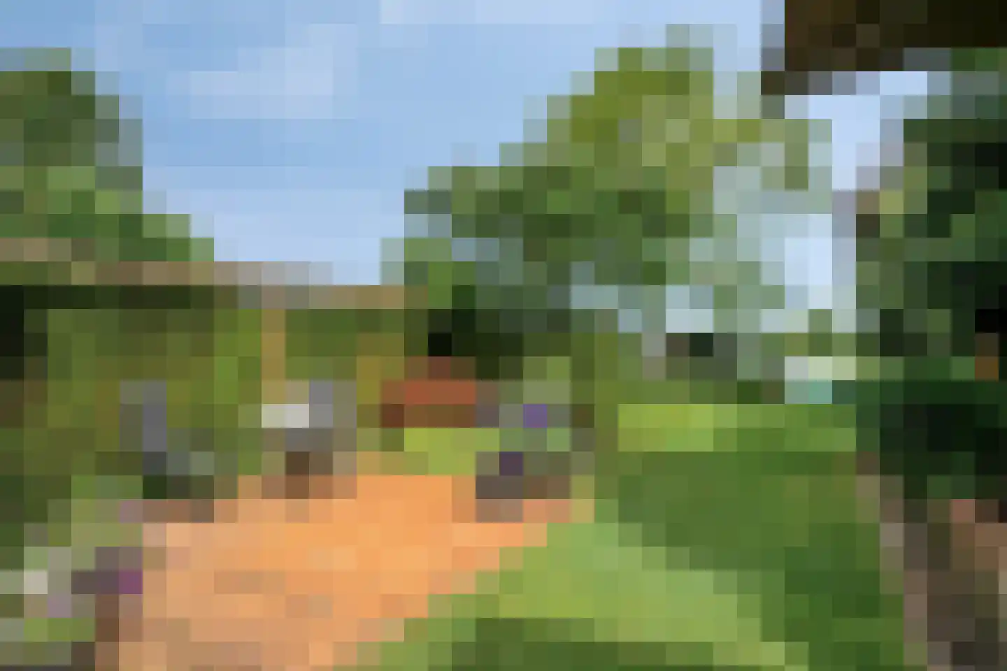Willibrordusweg 10 Schaijk thumbnail 48