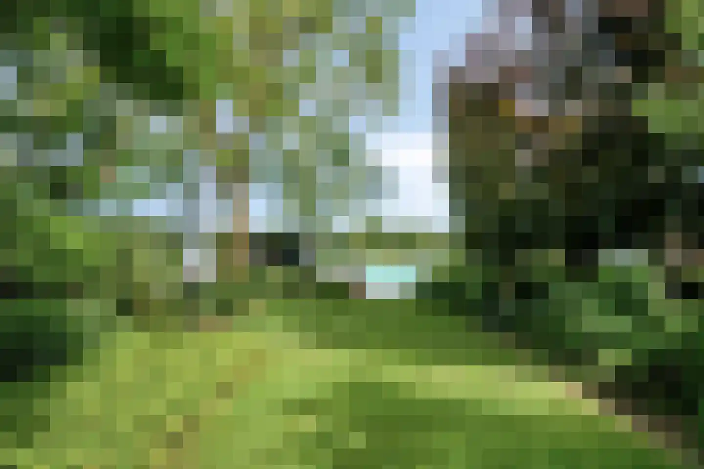 Willibrordusweg 10 Schaijk thumbnail 49