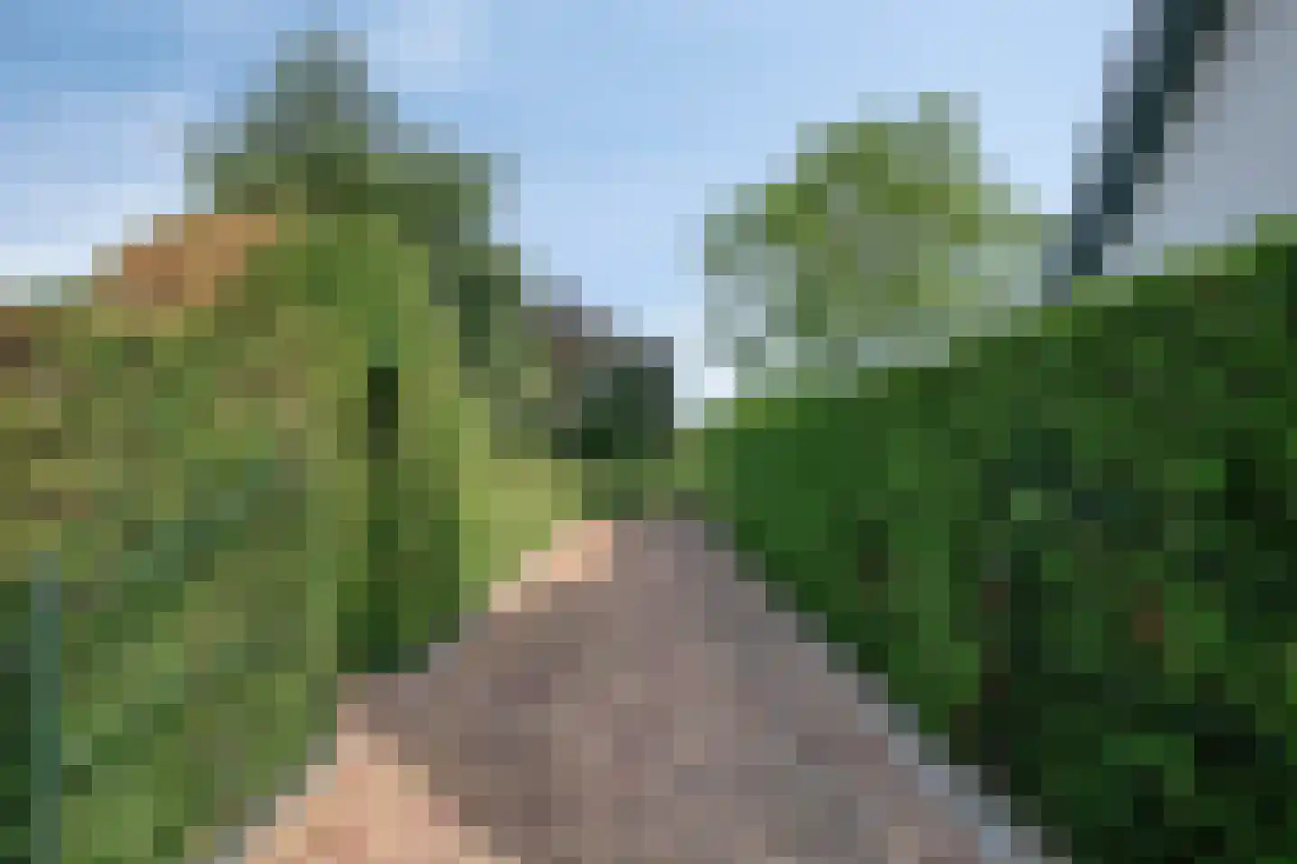 Willibrordusweg 10 Schaijk thumbnail 59