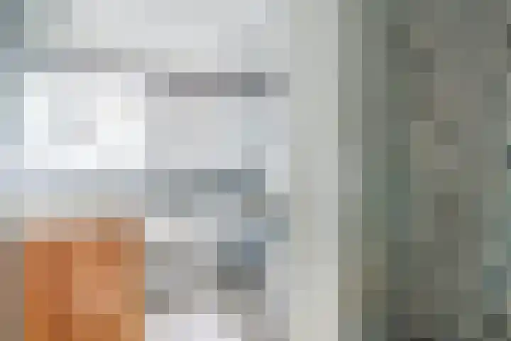 Willibrordusweg 11 Oss thumbnail 20