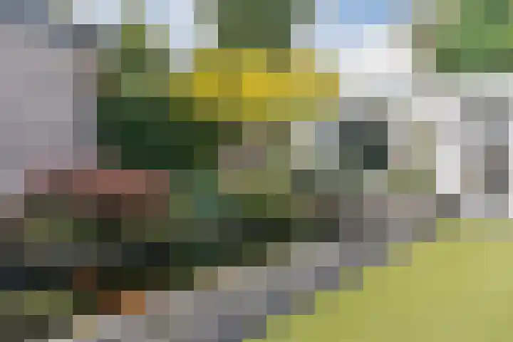 Willibrordusweg 11 Oss thumbnail 31
