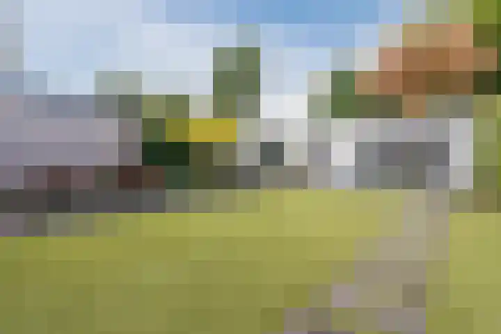 Willibrordusweg 11 Oss thumbnail 34