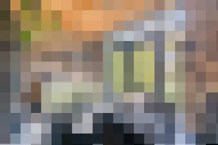 Willibrordusweg 11 Oss thumbnail 35